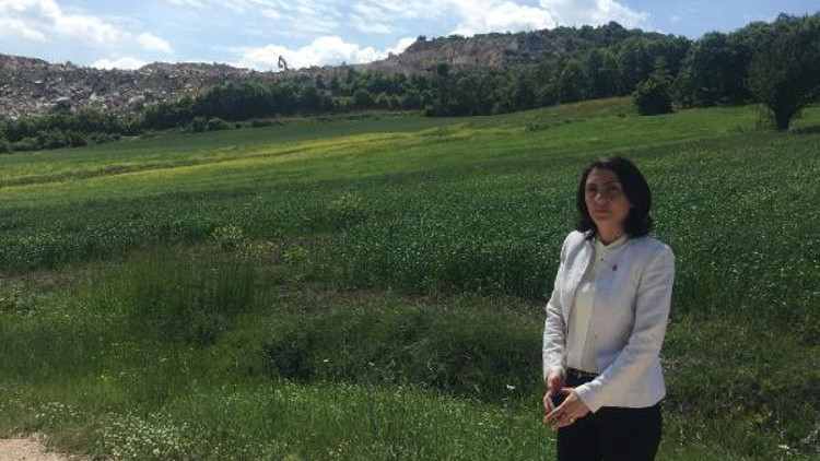 CHP’li Kayışoğlu: Bursa yeşil ama kaygımız var CHP’li Kayışoğlu: Bursa yeşil ama kaygımız var