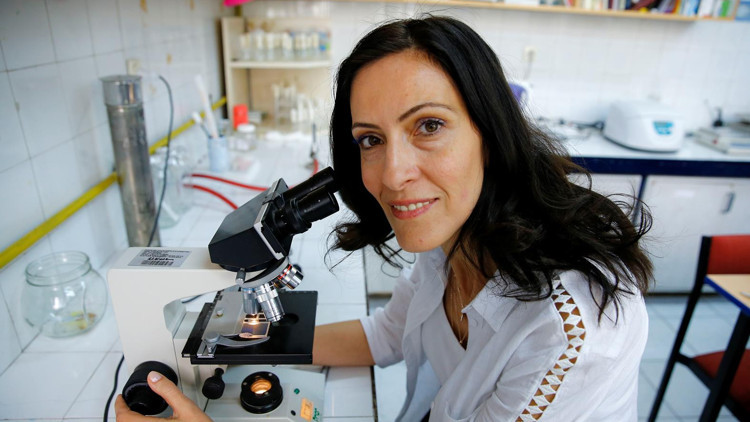 ‘Toplu arı ölümleri’ yüzde 41e ulaştı