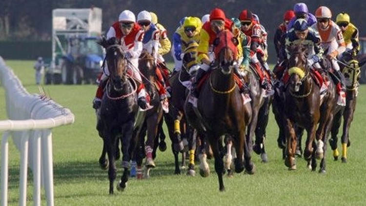 En iyiler ödüllerini aldı En iyiler ödüllerini aldı