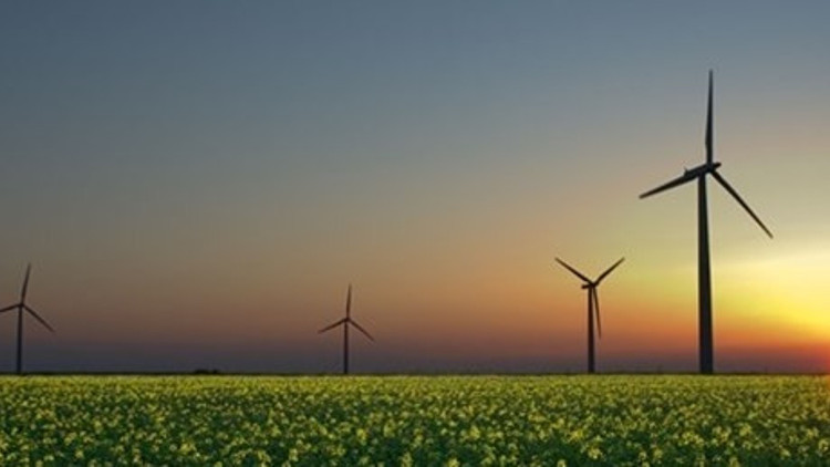 Yeşil enerjiden vazgeçmiyor Yeşil enerjiden vazgeçmiyor