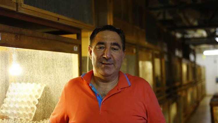 Hamam böceğinin tanesini 4 liradan satıyor Hamam böceğinin tanesini 4 liradan satıyor