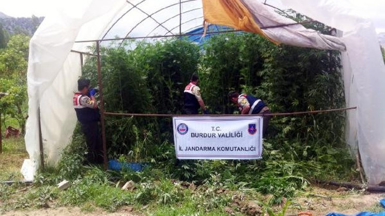 Jandarmadan seraya uyuşturucu baskını Jandarmadan seraya uyuşturucu baskını