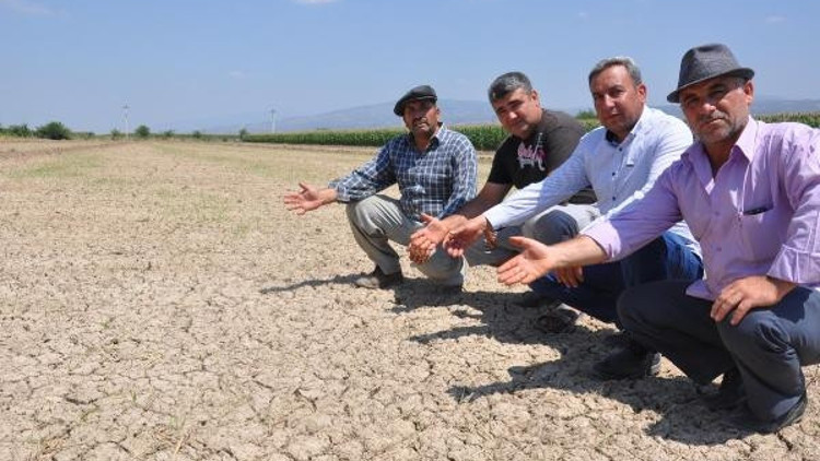 Yenipazarlı üreticiler susuz kaldı