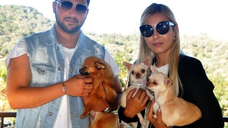 Bodrumda köpek ırkları yarıştırıldı Bodrumda köpek ırkları yarıştırıldı