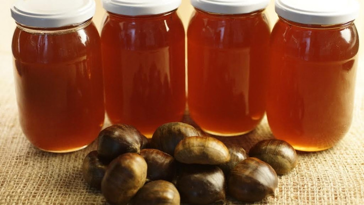 Kestane balı üreticinin yüzünü güldürdü