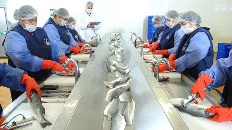 Hedef Ortadoğu’ya yıllık 50 milyon dolarlık balık ihraç etmek