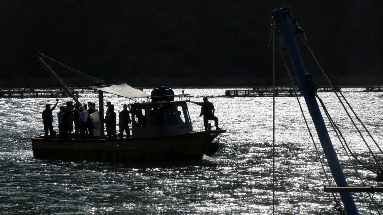 Denizi yok ama Japonya’ya balık ihraç ediyor