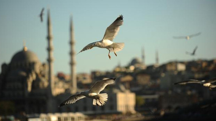 İstanbul 7 milyon yabancıyı ağırladı İstanbul 7 milyon yabancıyı ağırladı