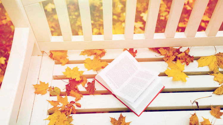 En yeni kitaplar En yeni kitaplar