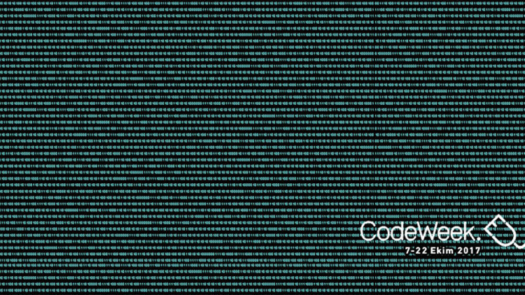 ‘Code Forest’ projesiyle Google desteği