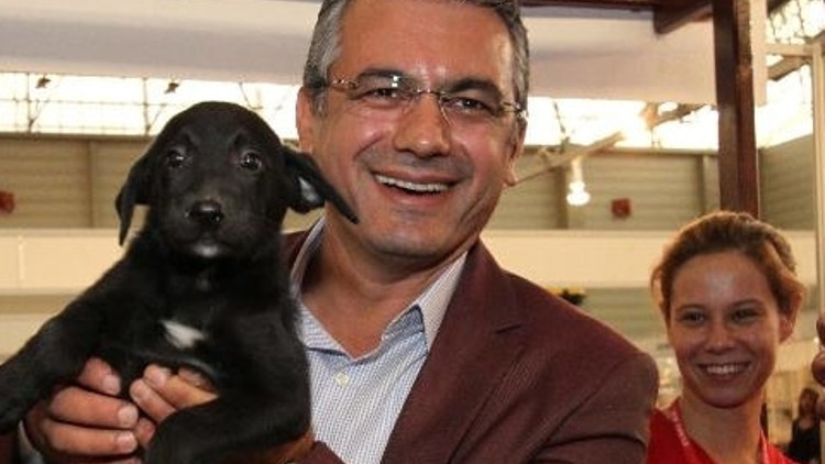 Sokaktan sıcak yuvaya