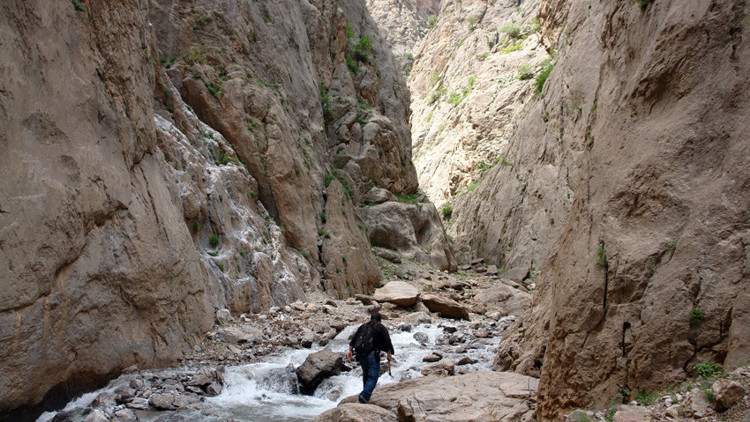 Hakkari’de keşfedildi... Antik Mısırda kadınlar kullanıyordu Hakkari’de keşfedildi... Antik Mısırda kadınlar kullanıyordu