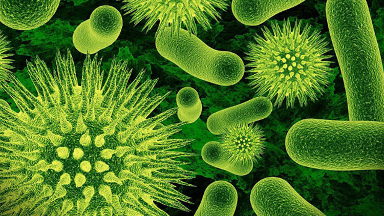 Kawasaki hastalığı nedir Kawasaki hastalığı nedir