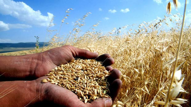 Tarım sigortasında değişiklik