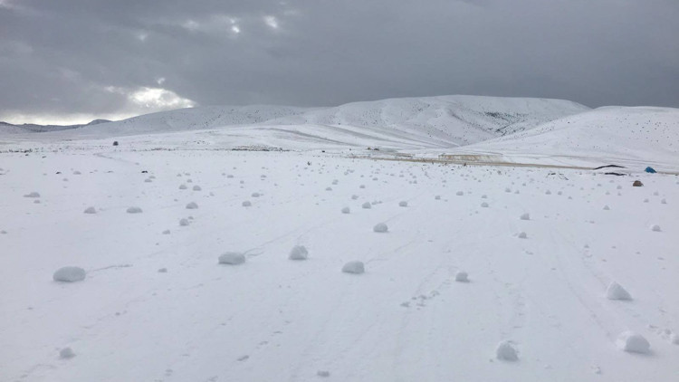 İlk Amerikada görülmüştü Kayseride şaşırtan olay