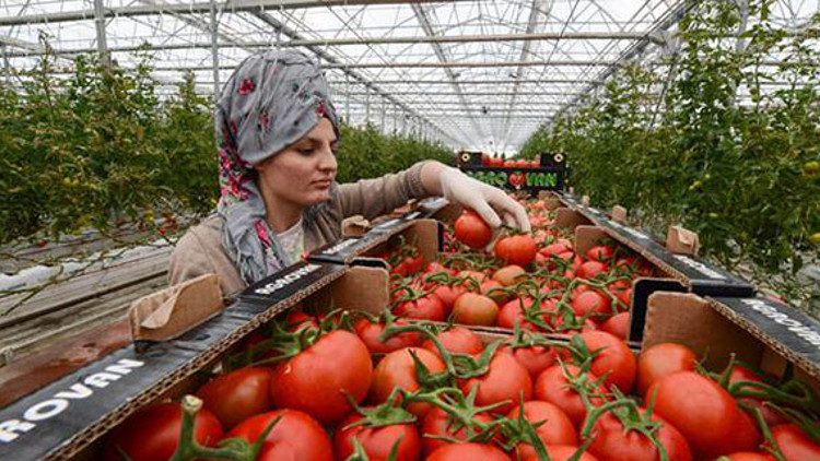 Japonlar Türk domates suyunu sevdi Japonlar Türk domates suyunu sevdi