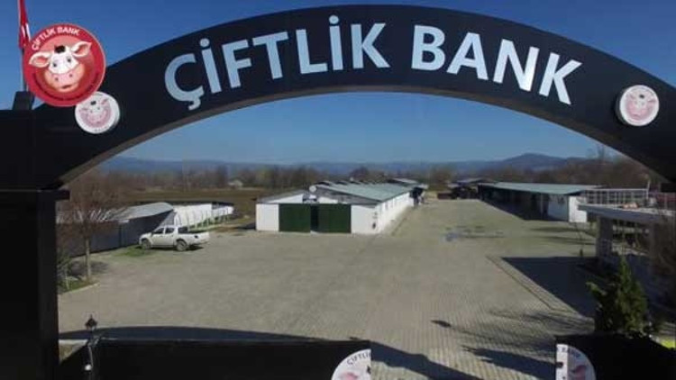 Bakanlık açıkladı Yarım milyarlık vurgun