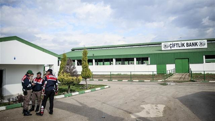 Çiftlik Bank vurgununda yeni gelişmeler... Boşanmadı, Uruguaya kaçtı, karısı teslim oldu