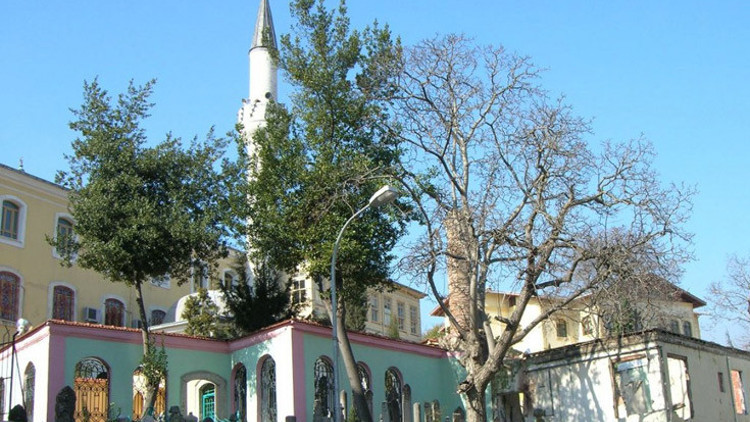 Türbeye gelip FETÖyü övünce tutuklandı