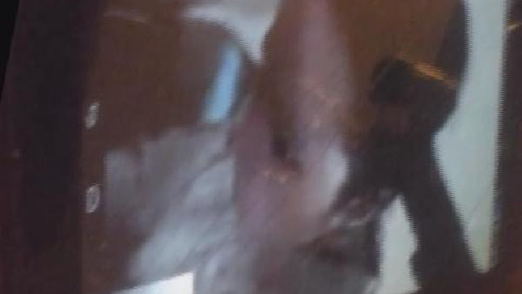 Rus genç kızın İstanbulda yardım çığlığı Rus genç kızın İstanbulda yardım çığlığı