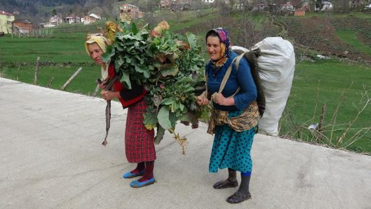 Kanserden ölenlerin fotoğrafları kahve duvarına sıralandı