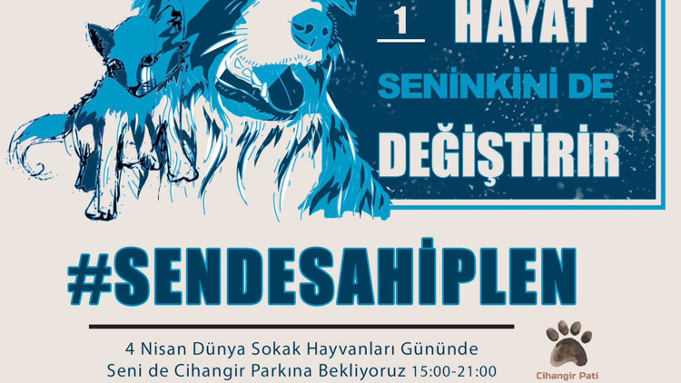 Pati dostları Cihangir Parkında buluşacak Pati dostları Cihangir Parkında buluşacak