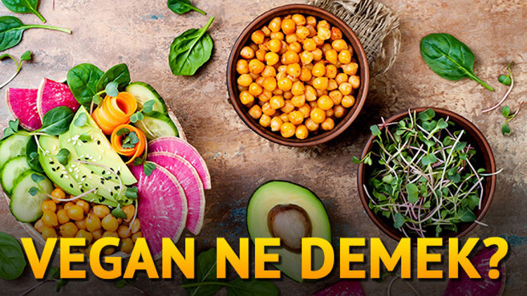 Vegan nedir Vegan ne demek