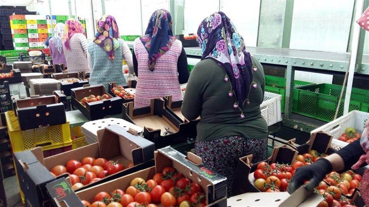 Rusya izin verdi İlk kasalar gönderildi