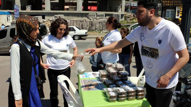 Sokak hayvanlarına dikkat çekmek için ücretsiz mama dağıttılar Sokak hayvanlarına dikkat çekmek için ücretsiz mama dağıttılar