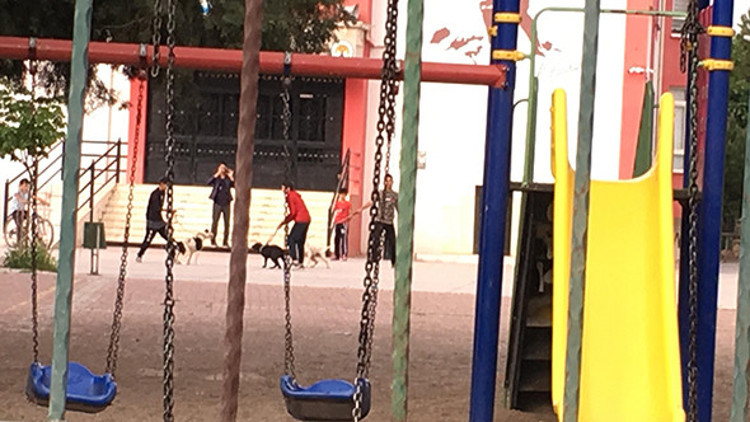 Okul bahçesinde şoke eden görüntü Okul bahçesinde şoke eden görüntü