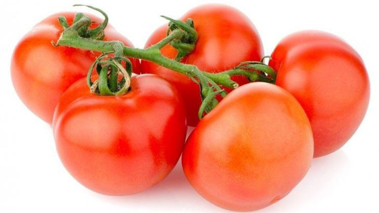 Domateste kriz... Rusya ile sorun yaşamak istemiyoruz