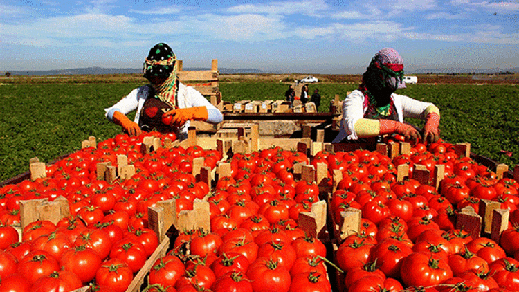 İhracatçıdan kırmızı alarm