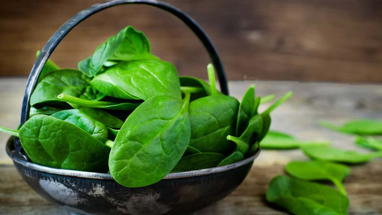 Zam şampiyonu belli oldu