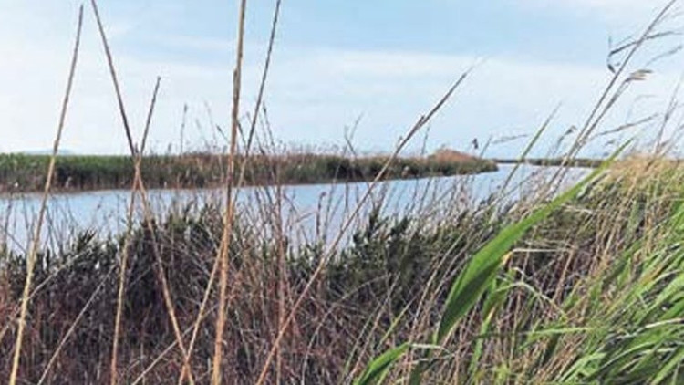 İzmirde sır valiz cinayeti