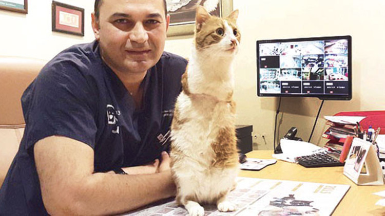 Suçları makineye atıyorlar