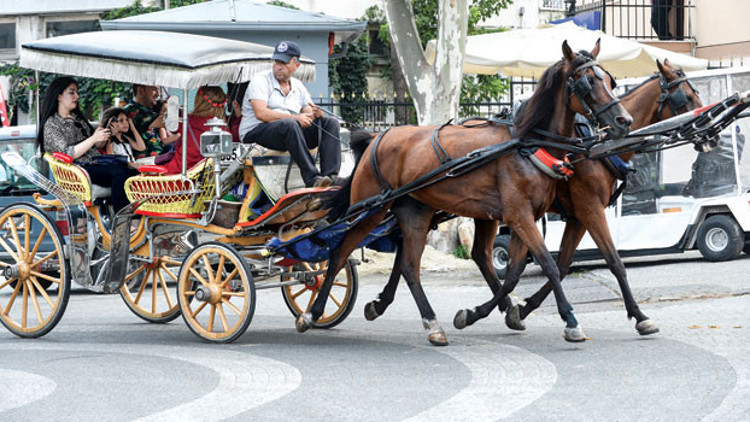 Turiste fayton taşımaya elektrikli araç