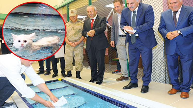 Açılış vali beyden Açılış vali beyden