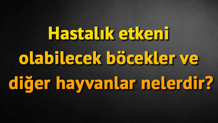 Hastalık etkeni olabilecek böcekler ve diğer hayvanlar nelerdir