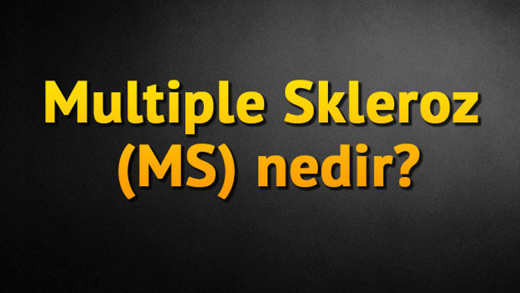 Multiple Skleroz (MS) nedir
