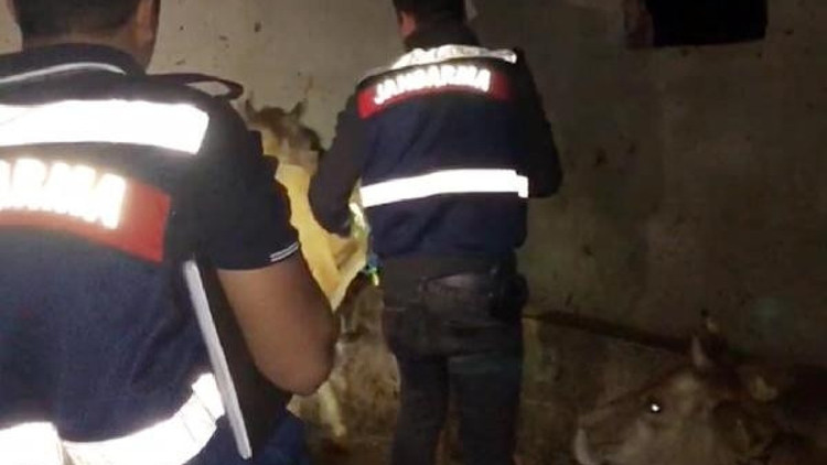 Orduda 8 ölümün şüphelisiyle ilgili soruşturma alanı genişletildi Orduda 8 ölümün şüphelisiyle ilgili soruşturma alanı genişletildi