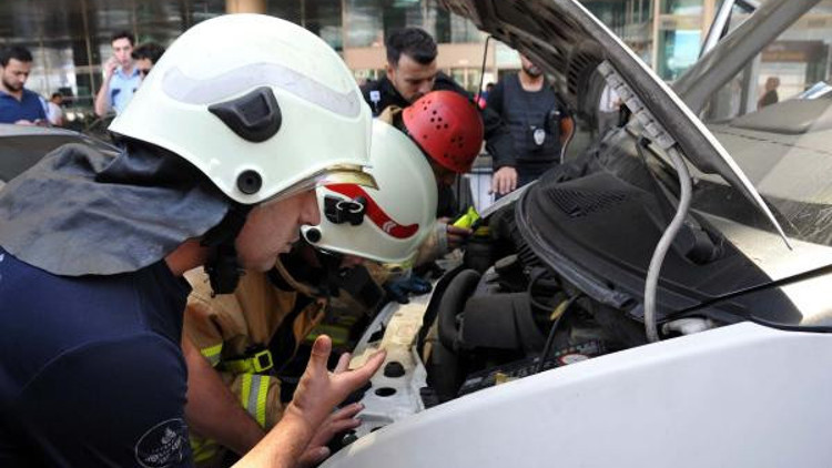 Atatürk Havalimanı’nda kedi kurtarma operasyonu