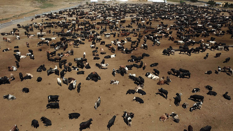 Bakan talimat vermişti 15 Eylülde belli olacak