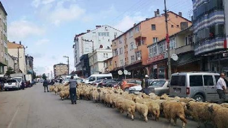 Yayladan dönüş başladı