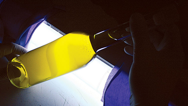 Gıdada hileye 13 ay hapis