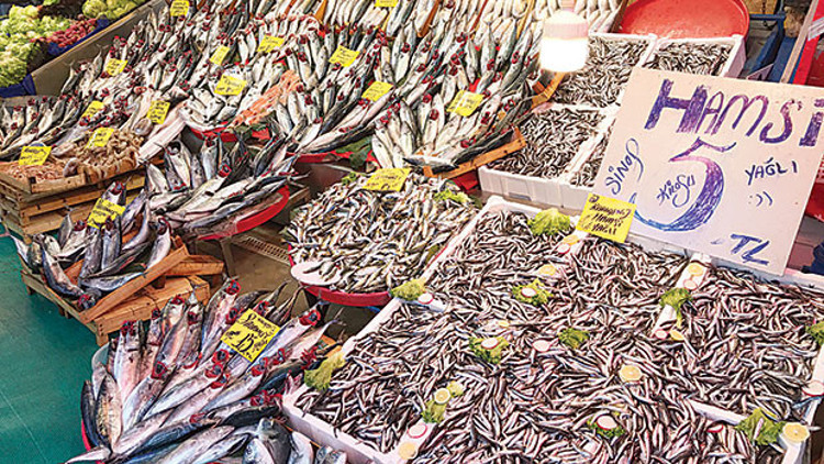 Menüler balık  dolu