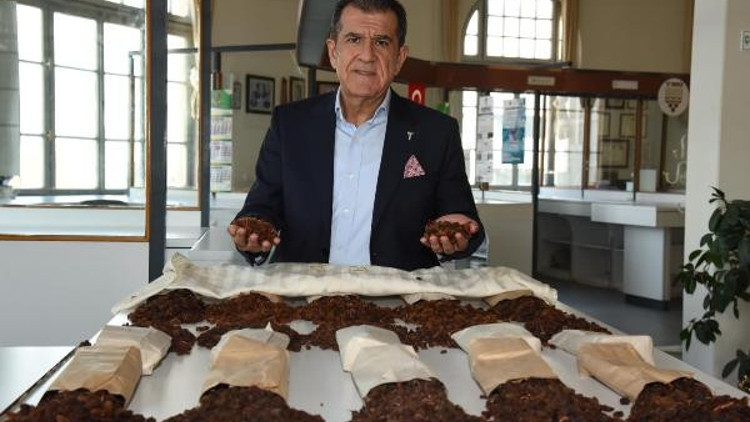 Kuru üzüm ihracatında yüzde 40 artış