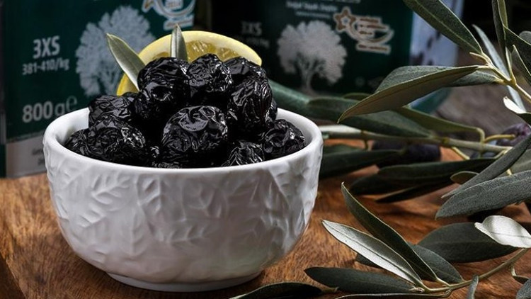 Marmarabirlik zeytin alımında rekor kıracak Marmarabirlik zeytin alımında rekor kıracak