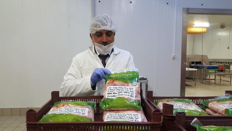 Japonlar, tavukta aradığı lezzeti Bursada buldu