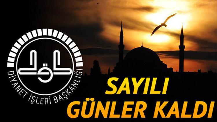 Mevlid-i Nebi Haftası ne zaman