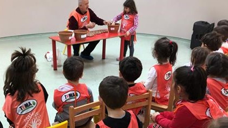 Meşe palamudu fidana dönüşecek